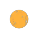 Academy Order of Order