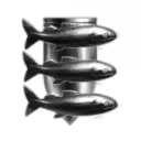 corperation of advanced flight studies