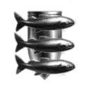 corperation of advanced flight studies