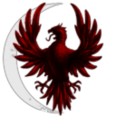 160th Night Stalkers