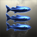 Motherfucking Fish Yo