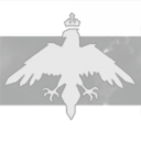 Special Tactical Forces