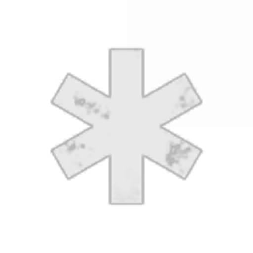 GENIUS BULGOGI BEST BULGOGI