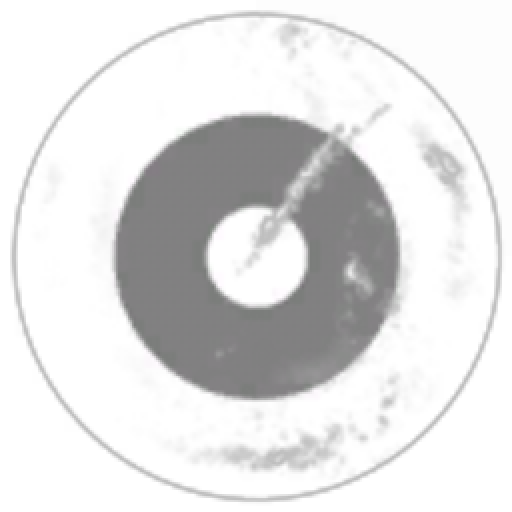 OpenOneCanOnly Corporation