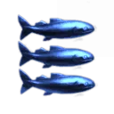 The True Ministry of Bob the provider