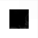 Non-copyright Infringing Federation