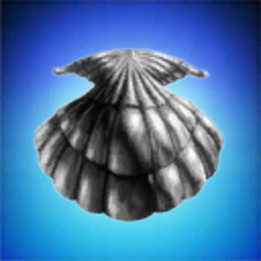 Sandy Clam Analysis and Tooling