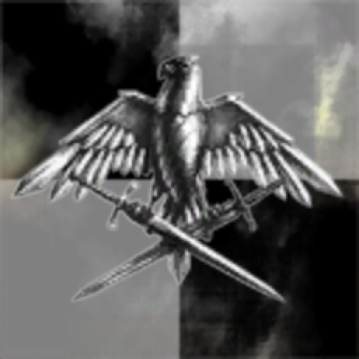 Border Deepspace Division