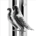 Internet Space-Bear Sqaud