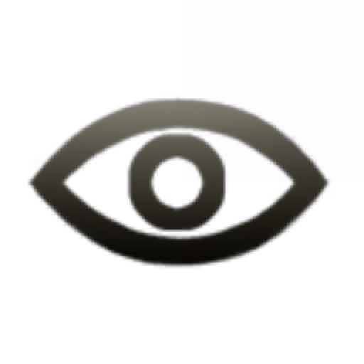 Directorate Tech Moon Holding Corp