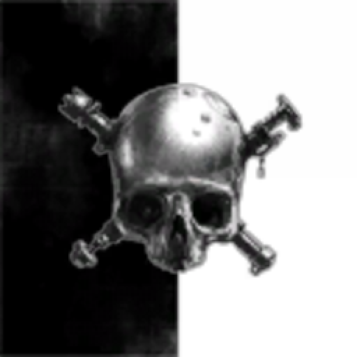 Pirates in the Shadows