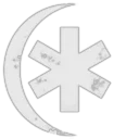 Kangaroos in Supershoes