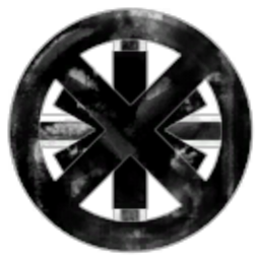 New Eden Space Institue