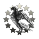 Silver Eagle Inc.