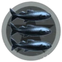 Pioneers of New Eden