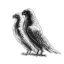 AN IRRATIONAL FEAR OF PIDGEONS