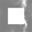 The Damorian Collective