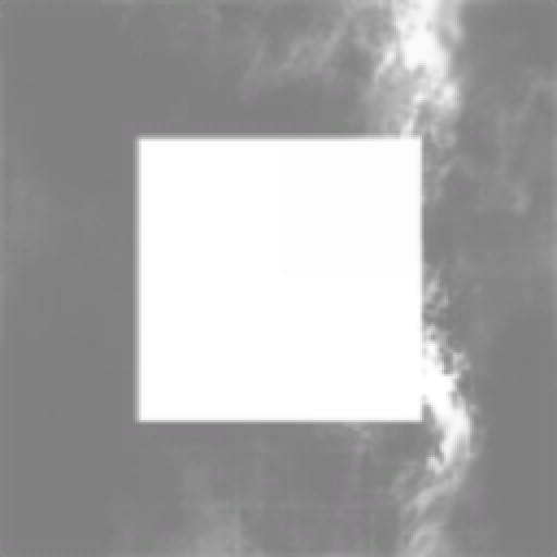 The Damorian Collective