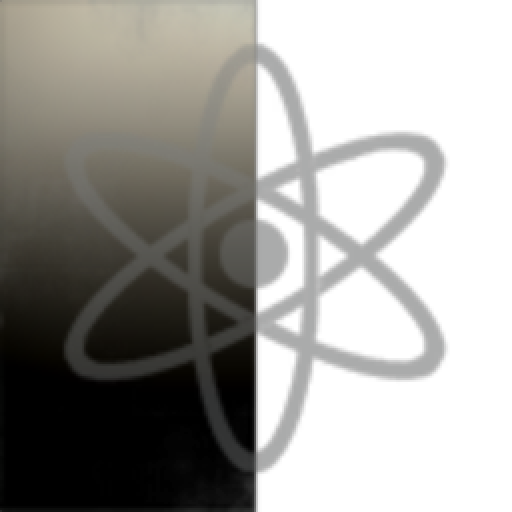 Singularity Principles