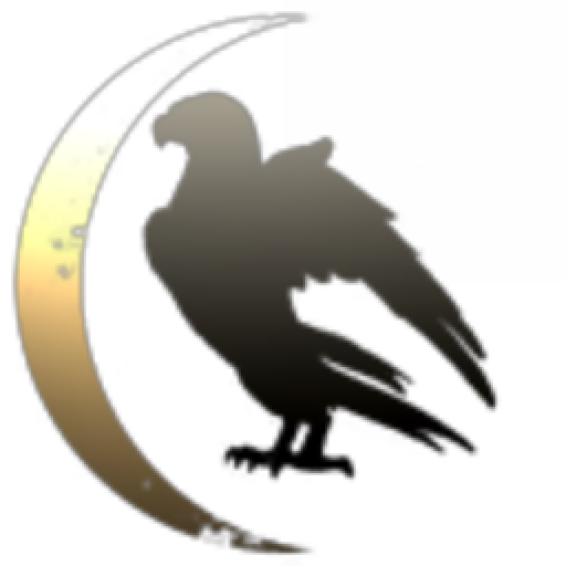 Military Coalition Support