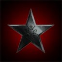 Silver Star Services