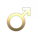 The Patriarchal Hegemony