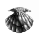 Boid Marshal Corporation