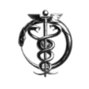 The Big Anime Lovers