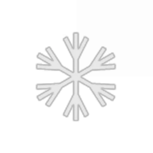 Special Snowflake Squadron