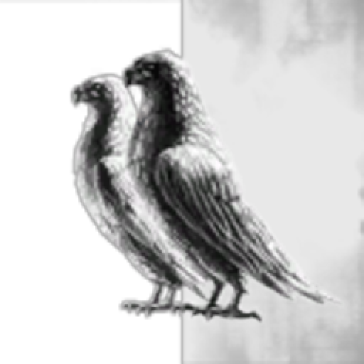 The Estimated Prospect