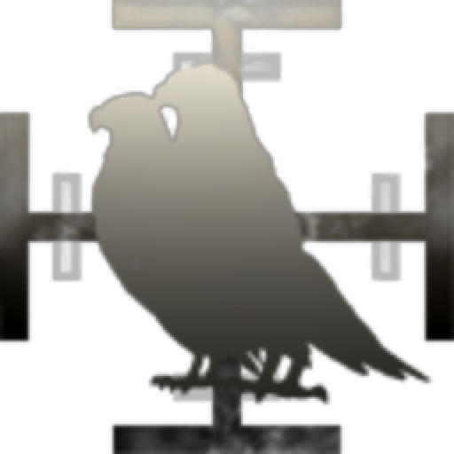 IIS Provisorem Regime