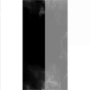 This corporation is no tax