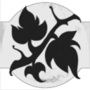 Daydream Interstellar