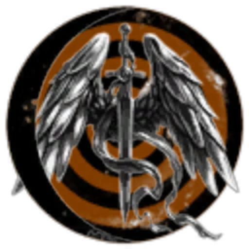 anubisguard's dark veil knights