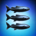 Water Spaceship Fan Club