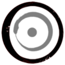 Singularity Dynamics