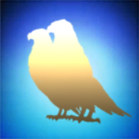 Living with Sensation