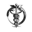 The Academy of Aggressive Behaviour