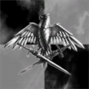 The Flying Spider Monkeys