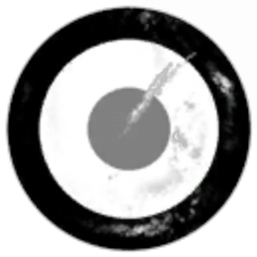 Hisec Militia