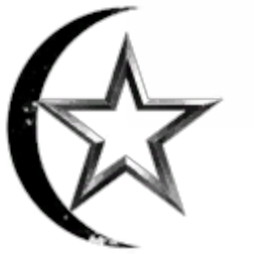 12KOLONI SAVASCILARI