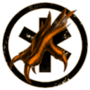 Polish Interstellar Forces