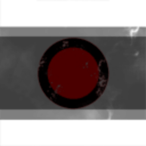 Martian Congressional Republic Navy