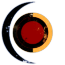 Space Travel Industry