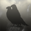 Corporation #98497227