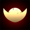 Fat Chicks on Scooters