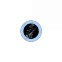 Water Crow Institution