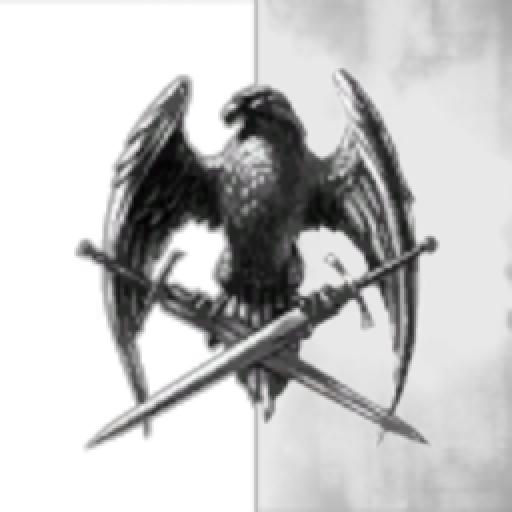 Freelancer Airspace Corporation