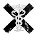 Transcending Securitas