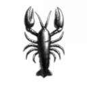 CH74 Pareleru Corporation